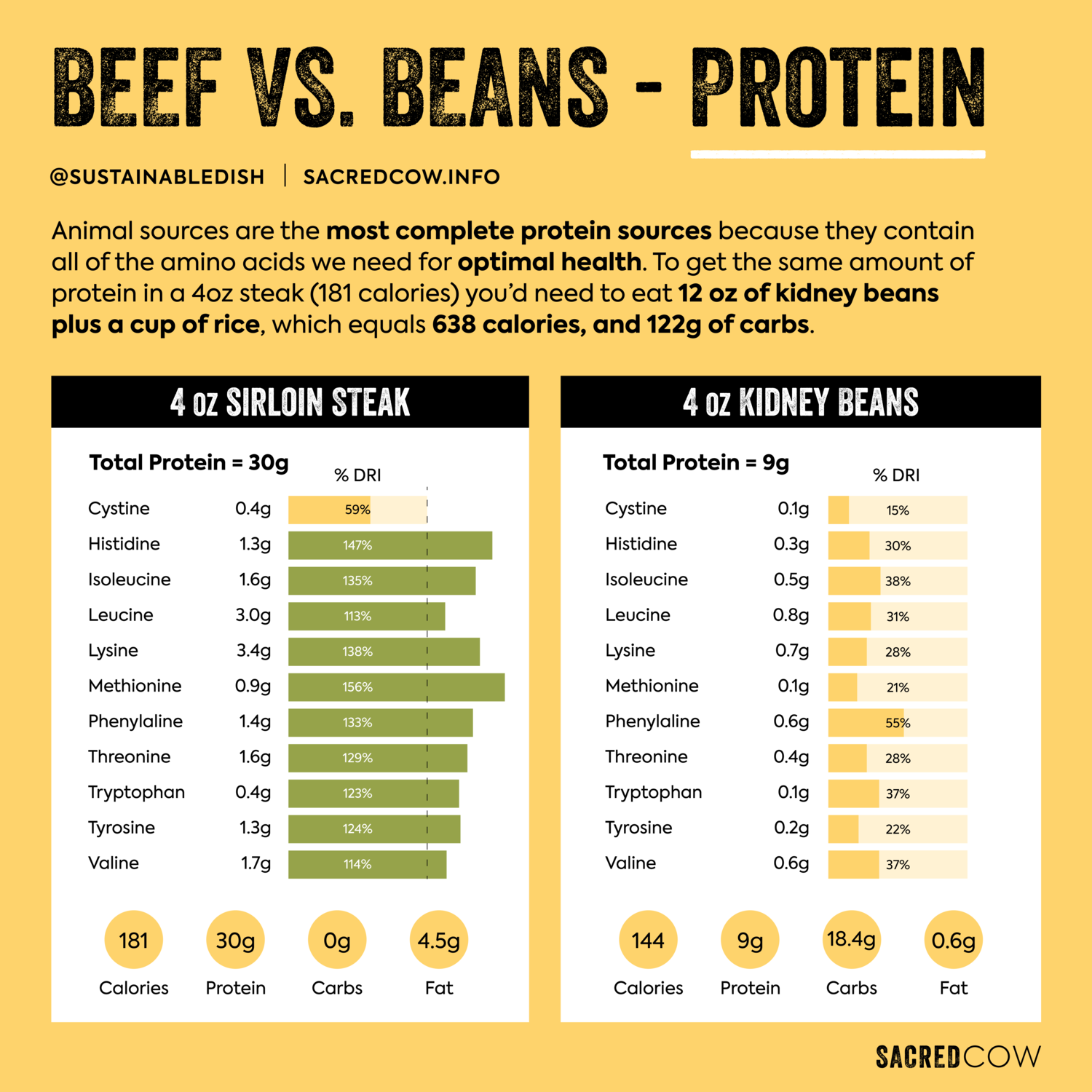 11 Beef vs Beans Protein