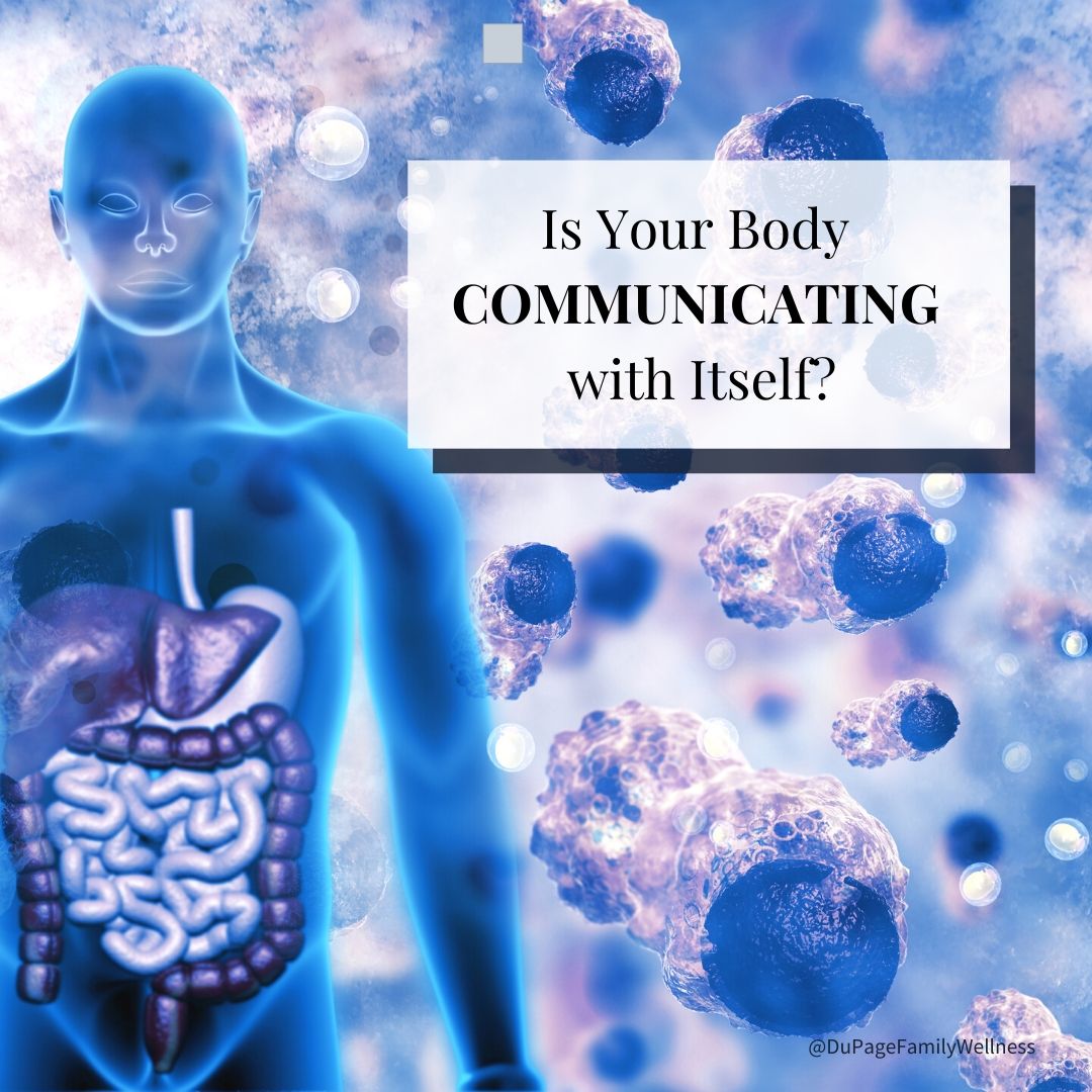 Is Your Body Communicating with Itself 