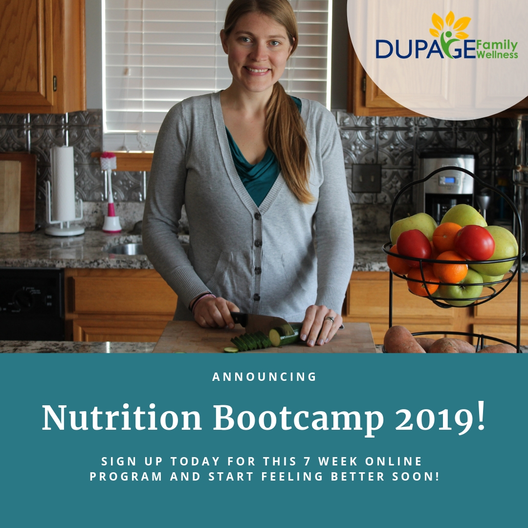 Nutrition Bootcamp 2019