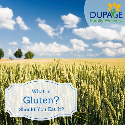 What Is Gluten? 