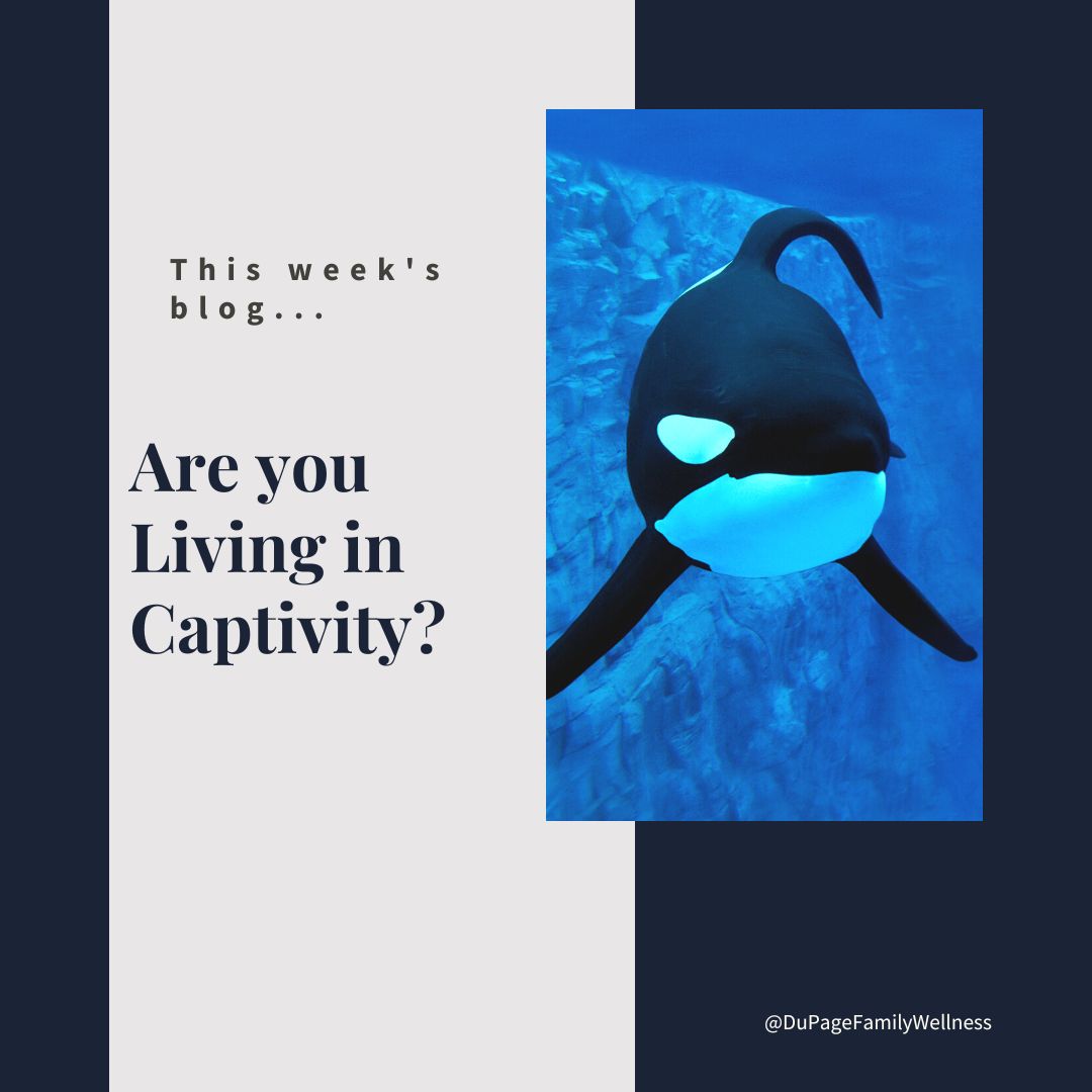 are you living in captivity
