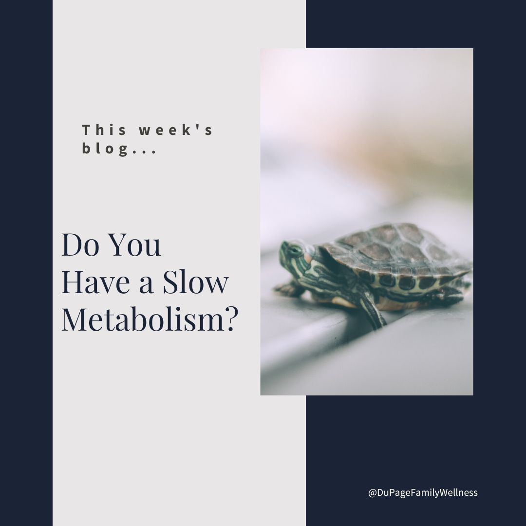 blog do you have a slow metabolism