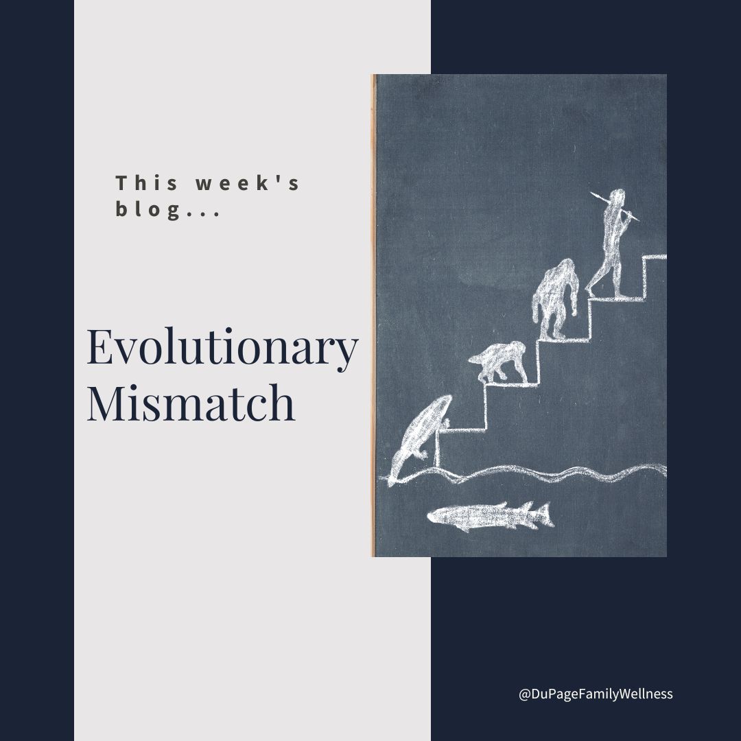 blog evolutionary mismatch