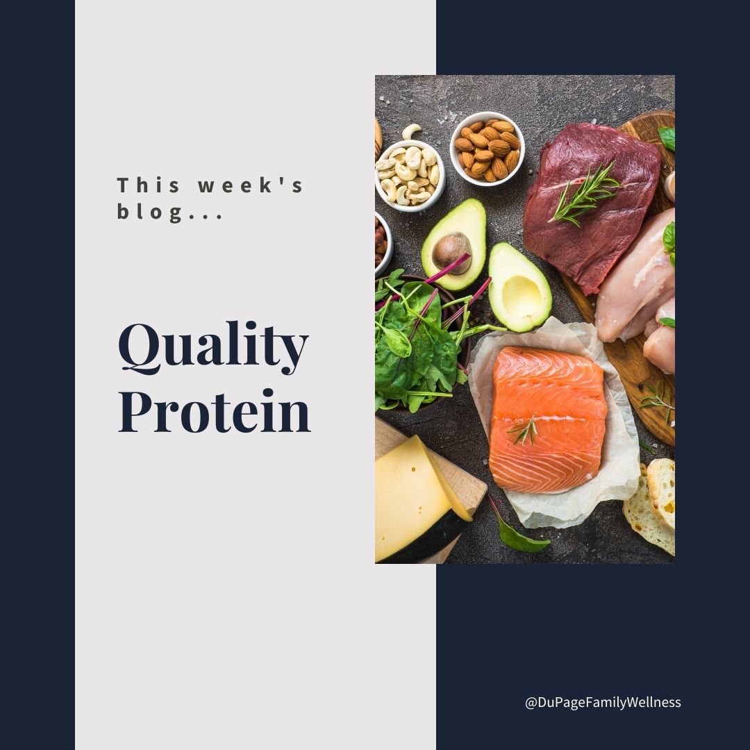 blog quality protein 2022