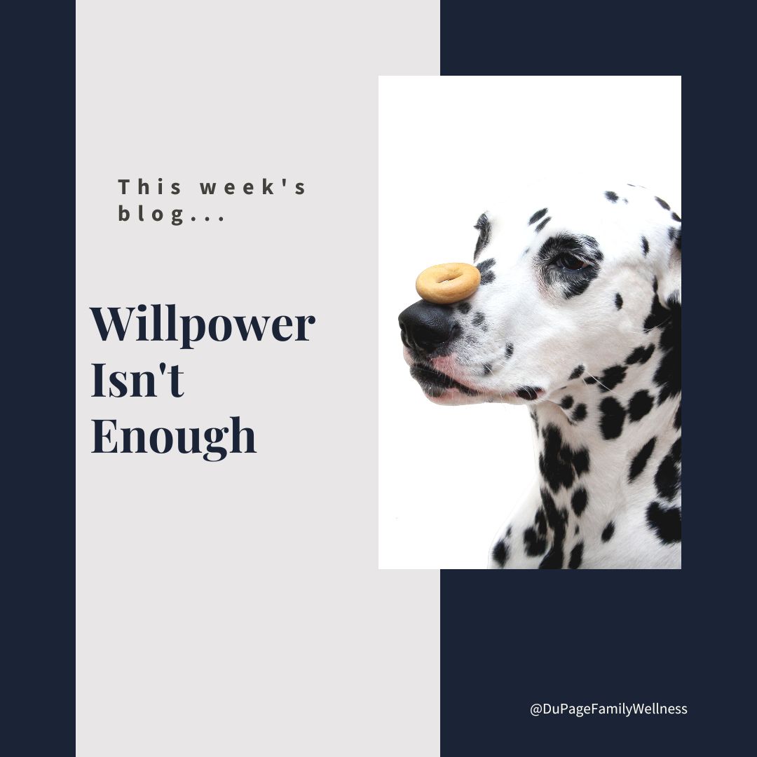 blog willpower isnt enough