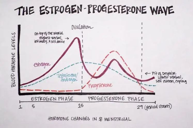 cycle chart drawn