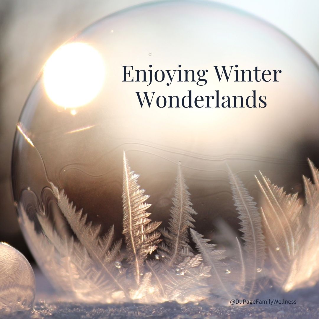 enjoying winter wonderlands