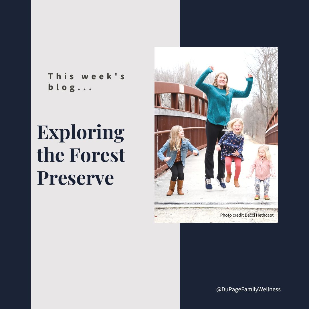 exploring forest preserve 2023