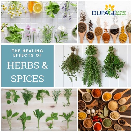 healing effects of herbs and spices