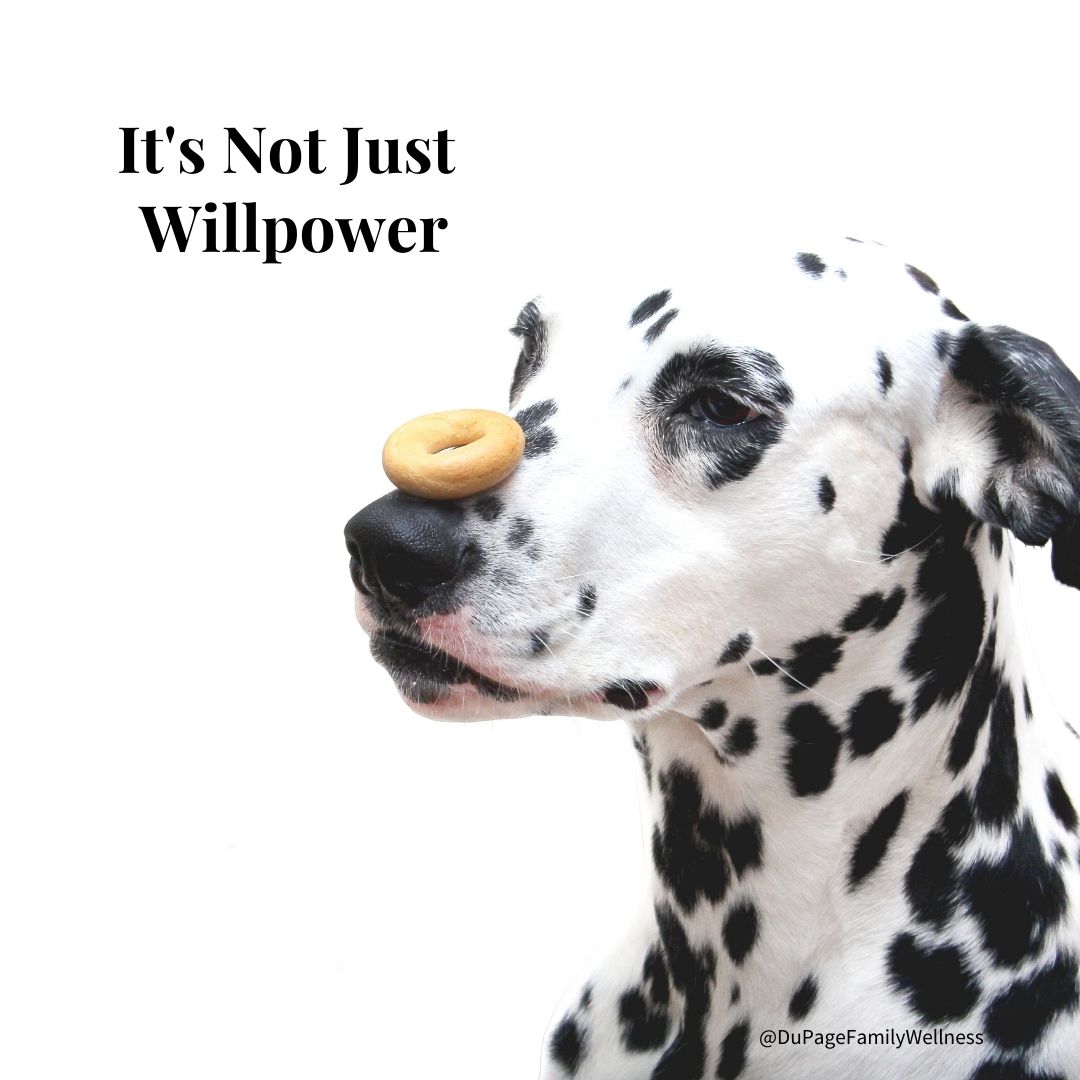 not just willpower