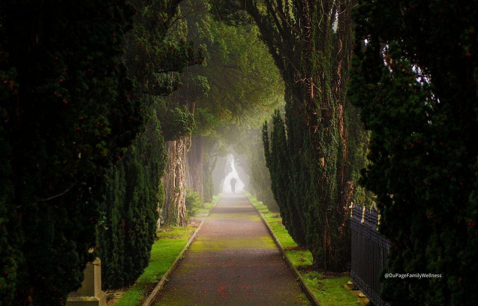DuPage Family Wellness will help you on your path to wellness